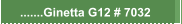 .......Ginetta G12 # 7032